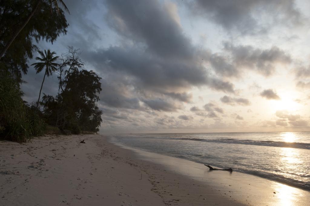 Diani House Hotel Diani Beach Ngoại thất bức ảnh