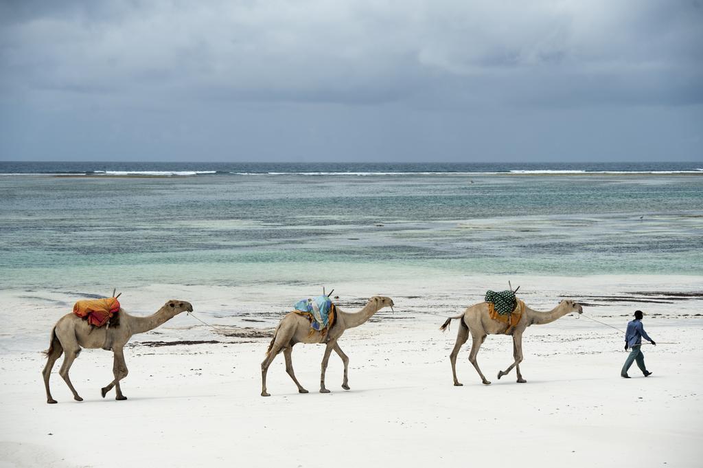 Diani House Hotel Diani Beach Ngoại thất bức ảnh